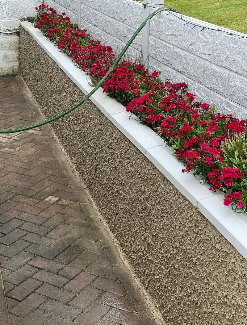 Rendered garden wall with a textured finish beside a flower bed